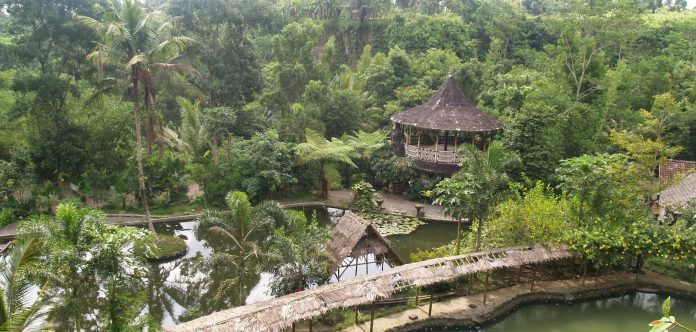 Wisata Pentingsari Yogyakarta