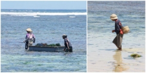13 b 2 pantai geger collage via elisaconlavaligia 740x370