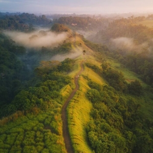 bukit campuhan ubud bali