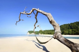 pantai tarimbang sumba timur 2 768x511